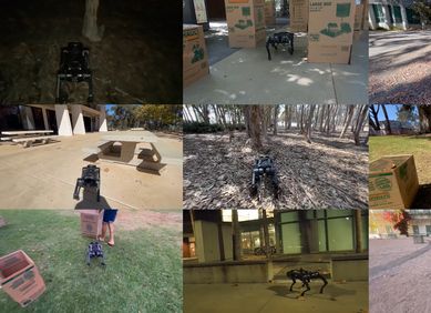 VIDEO: Novi algoritam za kretanje robota u divljini