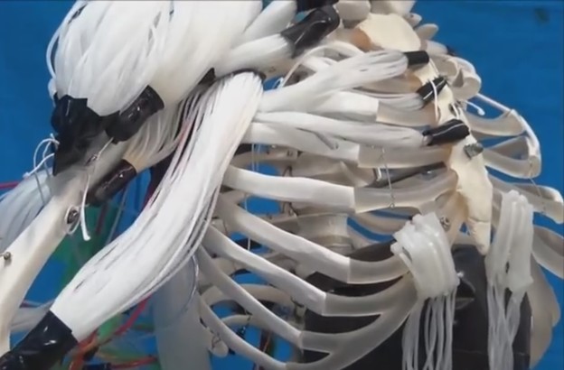 VIDEO: Robotski kostur s mišićnim vlaknima