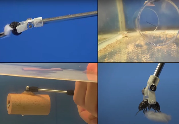 VIDEO: Živi beskralježnjaci kao robotski prsti VIDEO: Živi beskralježnjaci kao robotski prsti