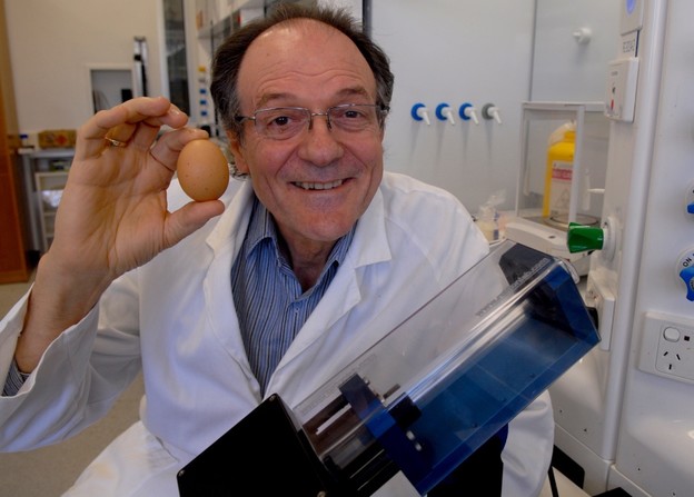 VIDEO: Znanstvenik osvojio Ig Nobela za otkuhavanje jaja