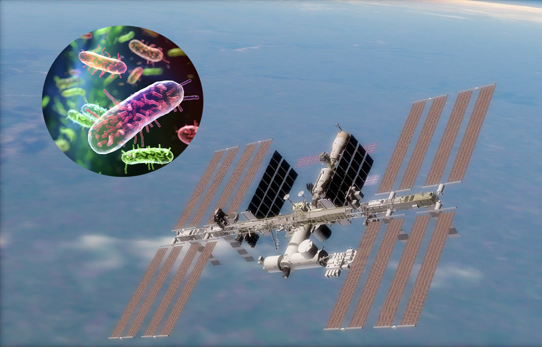 Virusi mutirani u svemiru za bolje antibiotike