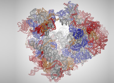 Vremenska kapsula pohranjuje prošlost stanica