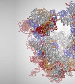 Vremenska kapsula pohranjuje prošlost stanica