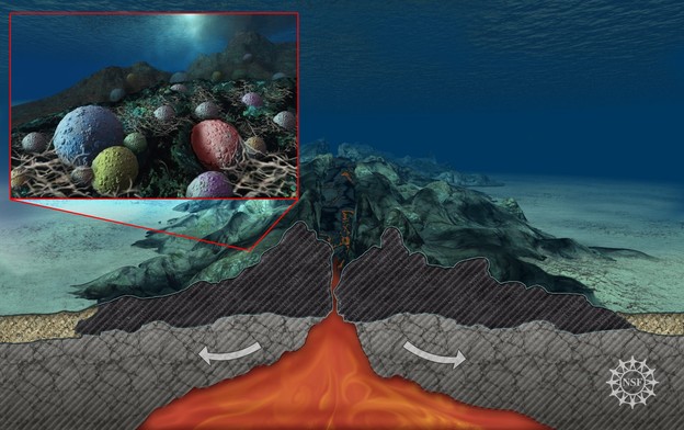 Život ispod dna oceana Život ispod dna oceana