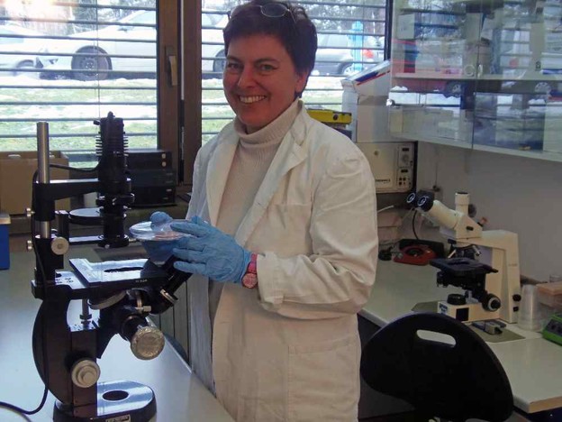 Znanstvenica IRB-a na projektu obnove imunosnog sustava