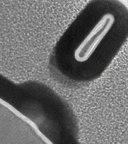 Znanstvenici proizveli najmanji 3D tranzistor na svijetu