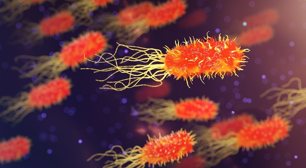 Bakterija u crijevima proizvodi lijek za Parkinsona
