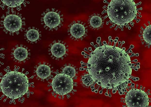 Detalji smrtonosnog virusa spremni za javnu objavu Detalji smrtonosnog virusa spremni za javnu objavu