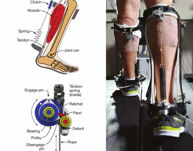 Egzoskeleton pomaže u hodanju nakon moždanog udara