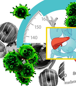 Masna prehrana stvara kancerogene stanice