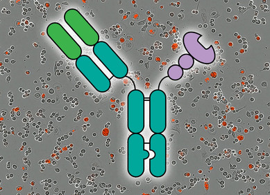 Novi pristup imunoterapiji za liječenje raka