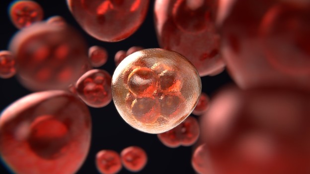 Novo mRNA cjepivo protiv raka cilja na limfne čvorove Novo mRNA cjepivo protiv raka cilja na limfne čvorove