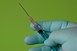 Odobreno Modernino mRNA cjepivo protiv gripe Odobreno Modernino mRNA cjepivo protiv gripe