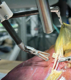 Robot izvodi prvu realističnu operaciju bez ljudske pomoći