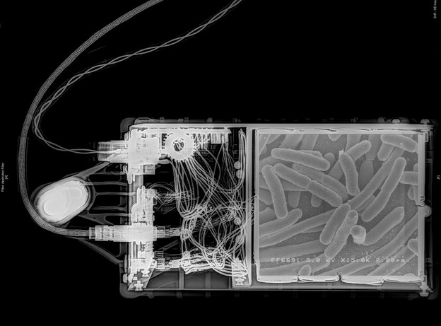 Ručni biosenzor temeljen na nanocvjetovima