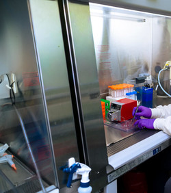 Tehnologija za brzo repliciranje ljudskog starenja