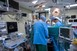 Uspješna transplantacije bubrega sa svinje na čovjeka