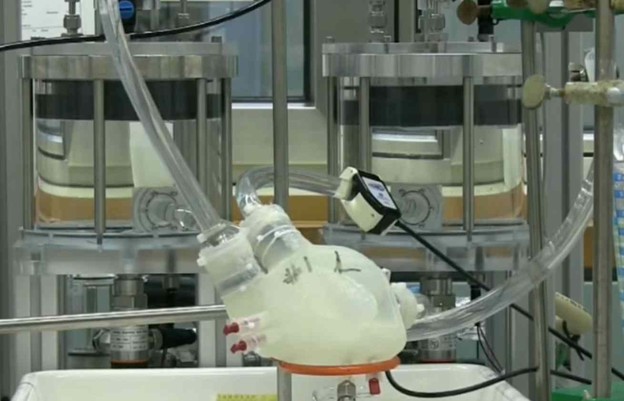 VIDEO: 3D printano silikonsko srce kuca kao pravo