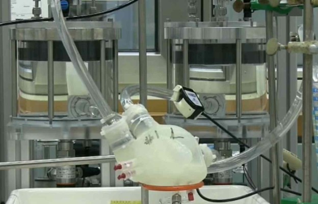VIDEO: 3D printano silikonsko srce kuca kao pravo VIDEO: 3D printano silikonsko srce kuca kao pravo