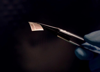 VIDEO: Čip šalje moždane signale WiFijem