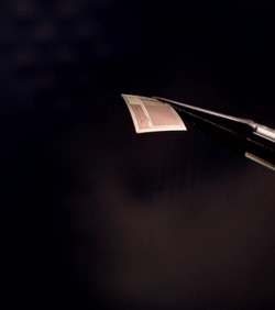 VIDEO: Čip šalje moždane signale WiFijem